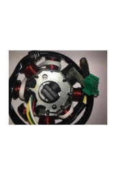 Scooter 100 125 150 Statör Komple thumbnail 1