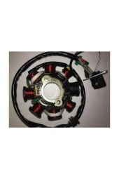 Scooter 100 125 150 Statör Komple thumbnail 2