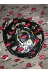 Scooter 100 125 150 Statör Komple thumbnail 3