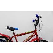 20 jant çocuk bisikleti Dorello bisiklet 2070 model - 3