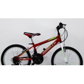 20 jant bisiklet 2070 model kımızı bisiklet - 2