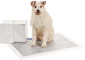 Silky - Kedi ve Köpekler için Tuvalet Eğitim Pedi   - 60x90cm / 30 ad. - 3