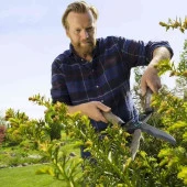 Gardena 12300 Naturecut Çim Çit Kesme Makası - 4