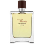 Hermes Terre D'Hermes Eau Intense Vetiver Edp 100 ml Erkek Parfümü thumbnail 2