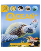 Life Cycles - Ocean Sean - Callery - 1