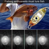 Rapala Lures Turna Kaşığı Led Işık Yapay Yem Arkası Flaşör Led 2 Adet 10 gr 5cm - 5