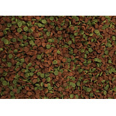 Amore Malawi Cichlid Mix Chips 3kg Kova Tanganyika Cichlid Spirulina Algae Karışık Akvaryum Balık Yemi - 2