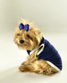 Navy Sports Atlet Köpek Kıyafeti  Köpek Elbisesi - 1