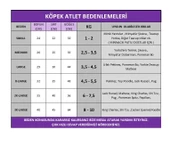 Navy Sports Atlet Köpek Kıyafeti  Köpek Elbisesi - 4