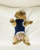 Navy Sports Atlet Köpek Kıyafeti  Köpek Elbisesi - 3