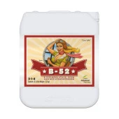 Advanced Nutrients B-52 5 Litre - 1