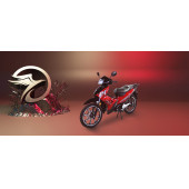 FALCON Master 50 Lüx Cub Kırmızı Motorsiklet-2024 Model - 3
