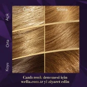 Koleston Kit 7/3 Fındık Kabuğu - 4