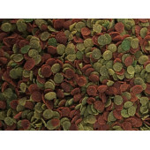 Amore Protein Garlic Malawi Ciklet 2.4Kg Pro Chips Kova Balık Yemi,Betta-Goldy Mix-Tropikal- 4x125ml - 3