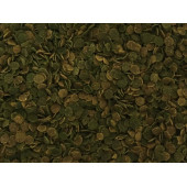 Amore Tetra-Melek-Lepistes 4lü Balık Yemi Seti,Tropical Mix 125ml,Rose Guppy 250,Algae Garlic,Mix Flakes - 6