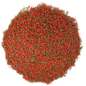 Amore Malawi Cichlid Mix 1000ml, Ahm Ciklet Green 250ml,Probon Red Colour 250ml Kutu Balık Yemi - 2