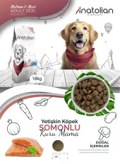 Anatolian Premium Somonlu Yetişkin Köpek Maması 18 kg - 5