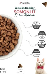 Anatolian Premium Somon Etli Yetişkin Kedi Maması 10 KG - 3