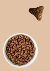 Anatolian Premium Somon Etli Yetişkin Kedi Maması 10 KG - 6