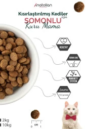 Anatolian Premium Sterilised Salmon Somonlu Kısırlaştırılmış Kedi Maması 2 Kg - 3