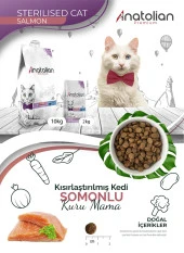 Anatolian Premium Sterilised Salmon Somonlu Kısırlaştırılmış Kedi Maması 2 Kg - 4