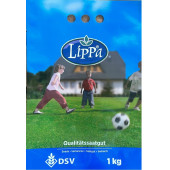 DSV LİPPA 6 MİX ÇİM TOHUMU - 1 KG - (1 ADET) - 1