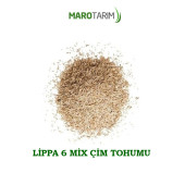 DSV LİPPA 6 MİX ÇİM TOHUMU - 1 KG - (1 ADET) - 3