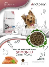 Anatolian Premium Mini Adult Salmon Somonlu Yetişkin Küçük Irk Köpek Maması 2 Kg - 4