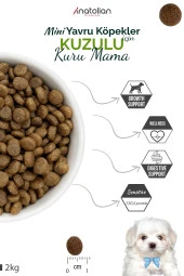 Anatolian Premium Mini Puppy Lamb Kuzulu Küçük Irk Yavru Köpek Maması 2 Kg - 3