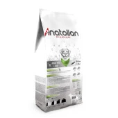 Anatolian Premium Lamb Kuzulu Medium Maxi Yetişkin Köpek Maması 18 Kg A3001 - 2