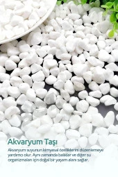 Bozsan Beyaz Dolomit Taş 10 Kg 1-3cm Dolomit Taşı Bahçe Süs Akvaryum Taşı Dere Çakıl Taşı - 3