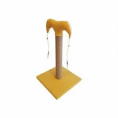 Bedspet İnce Kedi Tırmalama Tahtası 50 Cm Sarı - 1