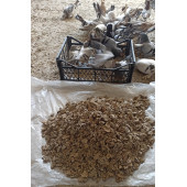 Doğal Güvercin Gübresi 3 kg - 1
