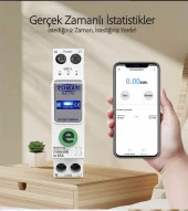 Tomzn Akıllı Voltaj ve Akım Koruma Rölesi, WiFi Özellikli Dahili Enerji Ölçer 63A eWelink Uyumlu - 1