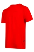 VICTOR  ERKEK VİLOFT V YAKA T-SHİRT - 11