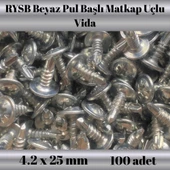Rysb 4,2x25 mm 100 Adet Beyaz Pul Başlı Matkap Uçlu Vida Otomatik Vida thumbnail 2