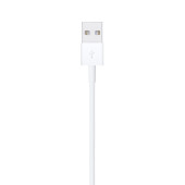 Apple Lightning to USB Cable ( 1.0 m) (Kutusuz) - 3