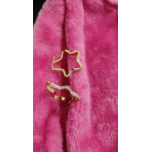 Şans Getiren Yıldız Model Zirkon Taş Çelik Küpe - 1