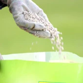 Compo 1830 Hızlı Etkili Çim Gübresi 15 Kg thumbnail 3