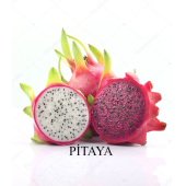 Pitaya (dragon Fruıt, Ejder Meyvesi) Fidanı (2 Adet) 40 Cm - 2