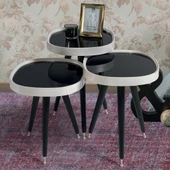 3'Lü Siyah Aynalı Yuvarlak Zigon Sehpa Gümüş Çerçeveli Ahşap Lüx Ayaklı D2 - 1