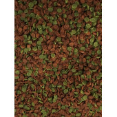 Amore Malawi Mix Chips 1000 ml Tanganyika Cichlid Akvaryum Balık Yemi - 2