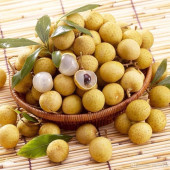 Aşılı Longan Fidanı (6 YAŞ 100 CM ÜZERİ) - 1