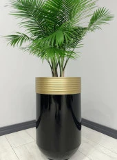 ELEGANT Dekoratif Eskitme Darbuka Parlak Siyah Saksı 60cm thumbnail 1