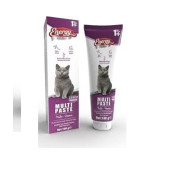 ENERGY YETİŞKİN KEDİ  MULTI PASTE 100GR 1+ YAŞ - 1
