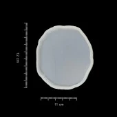 5 ADET - Dalgalı Oval - Bardak Altı Reçine Epoksi Kalıp - b12 thumbnail 4