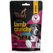 Amore Köpek Çinko Biyotin Tableti 72li Tüy Dökümü, New Story Lamb Crunchy 2x80gr Ödül Maması - 2