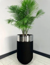 ELEGANT Dekoratif Krom Darbuka Siyah Saksı 70cm thumbnail 1