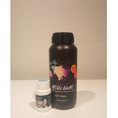 Ebru Ener Anka Vernikli Genel Yüzey Boyası Küf Yeşili 500 gr. ve Katkı Maddesi 15 gr. - 1