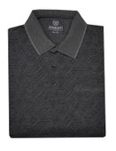 Simenti Yakalı Klasik Fit Kısa Kol Erkek Tişört-6653 - 1